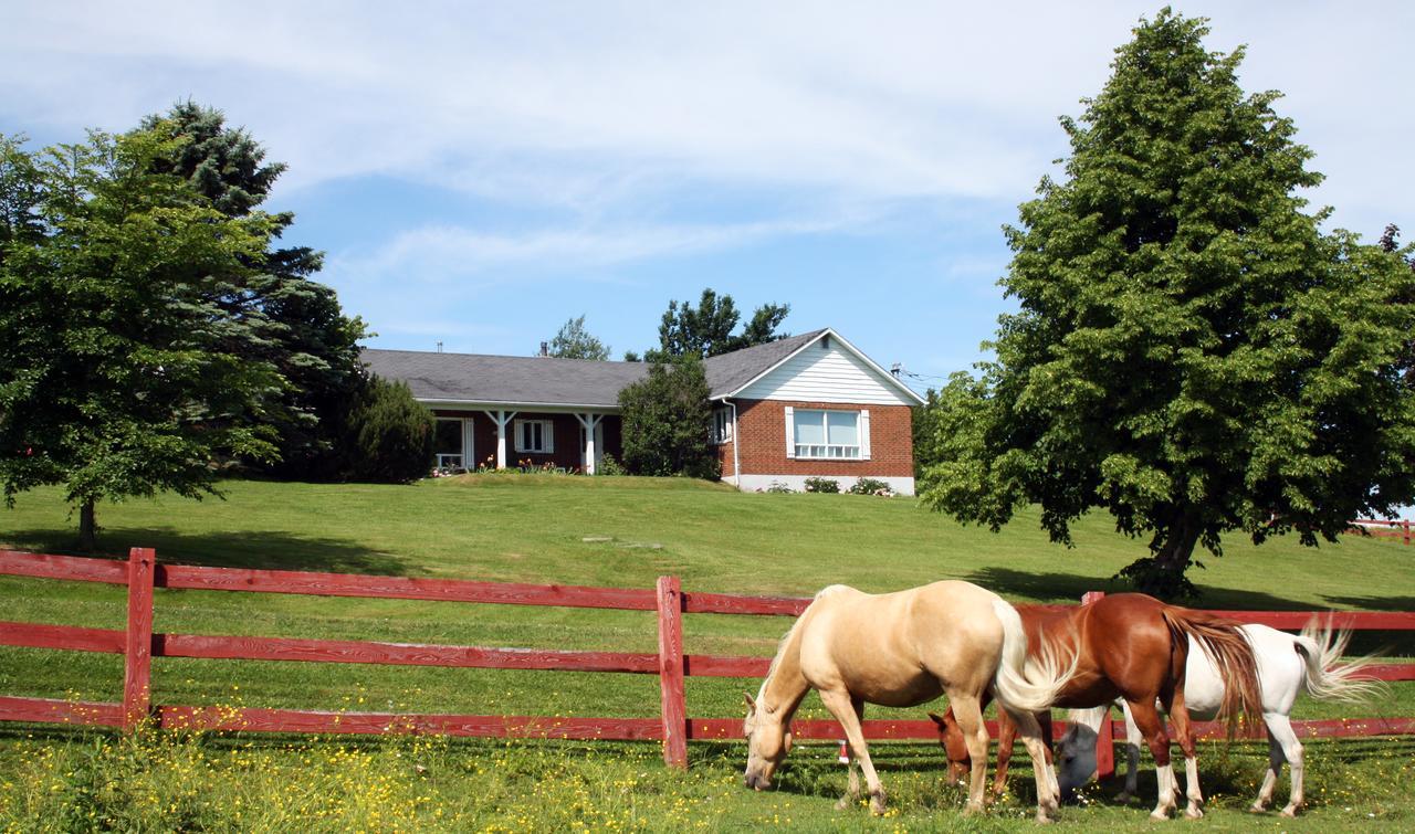 Saint-Hermenegilde Ranch St-Hubert B&B 외부 사진